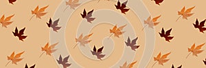 Seamless pattern autumn levitating maple leaf banner