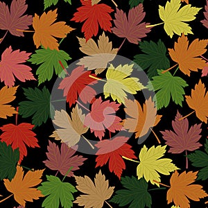 Seamless pattern. Autumn. Multicolored fallen leaves of maple on a black background.