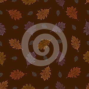 Seamless pattern from autumn vintage leaves of northern red oak on a brown background