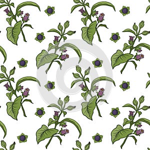 Seamless pattern and background with belladonna. Stock vector il