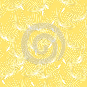 Seamless pattern background from a dandelion