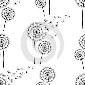 Seamless pattern background with dandelions fluff