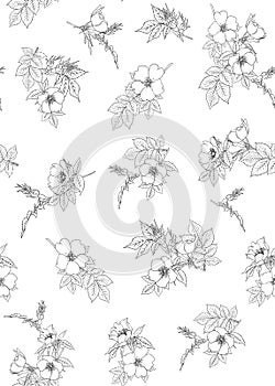 Seamless pattern, background with dog-rose