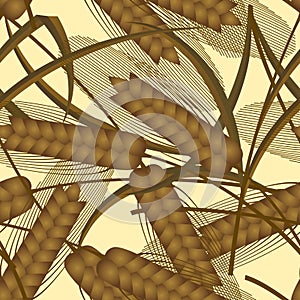 Seamless pattern background of ears of rye and wheat