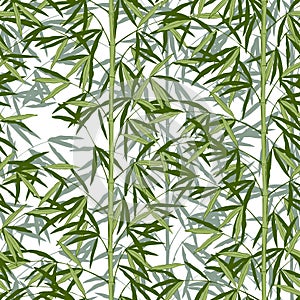 Seamless pattern background of green bamboo stem with leaves isolated on white