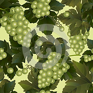 Seamless pattern background of green wine grapes with leaves and branches