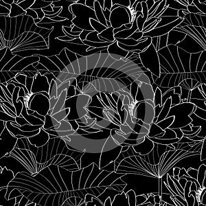 Seamless pattern, background with lotus flowers and leaves. Botanical illustration style.