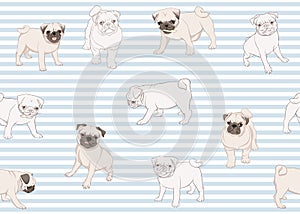 Seamless pattern, background with pug dogs.