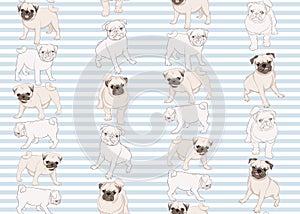 Seamless pattern, background with pug dogs.