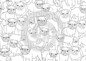 Seamless pattern, background with pug dogs