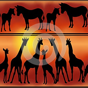 Seamless pattern, background with silhouettes of african animals