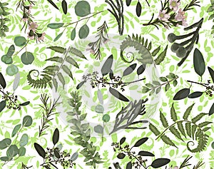 Seamless pattern, background, texture print with light watercolor hand drawn green eucalyptus ,forest fern, branches boxwood,