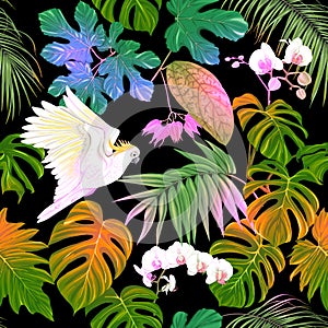 Seamless pattern, background. with tropical plants