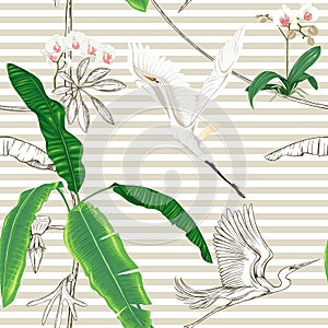 Seamless pattern, background. with tropical plants