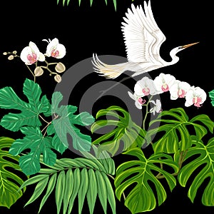 Seamless pattern, background. with tropical plants and flowers with white orchid flowers and tropical birds.