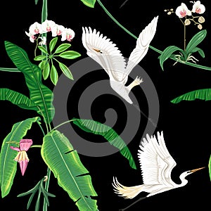 Seamless pattern, background. with tropical plants and flowers with white orchid flowers and tropical birds.