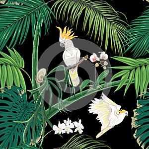 Seamless pattern, background. with tropical plants and flowers with white orchid flowers and tropical birds.