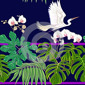 Seamless pattern, background. with tropical plants and flowers with white orchid flowers and tropical birds.