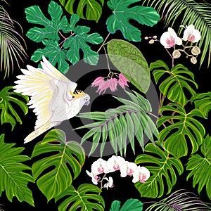 Seamless pattern, background. with tropical plants and flowers with white orchid flowers and tropical birds.