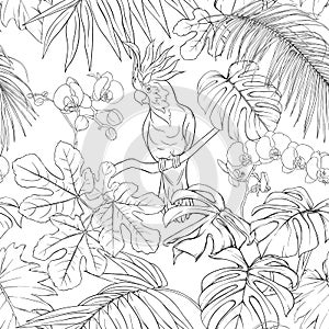 Seamless pattern, background. with tropical plants and flowers with white orchid flowers and tropical birds.n