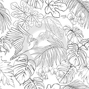 Seamless pattern, background. with tropical plants and flowers with white orchid flowers and tropical birds.n