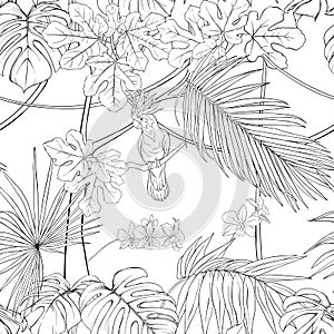 Seamless pattern, background. with tropical plants and flowers with white orchid flowers and tropical birds.n