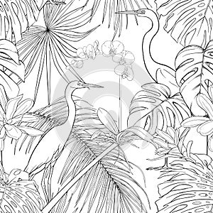 Seamless pattern, background. with tropical plants and flowers with white orchid flowers and tropical birds.n