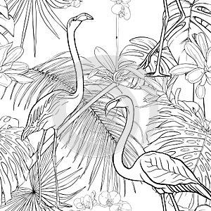 Seamless pattern, background. with tropical plants and flowers with white orchid flowers and tropical birds.n