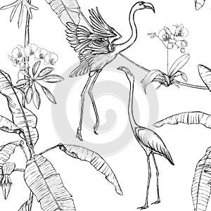 Seamless pattern, background. with tropical plants and flowers with white orchid flowers and tropical birds.n