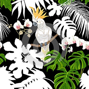 Seamless pattern, background. with tropical plants and flowers with white orchid flowers and tropical birds.n