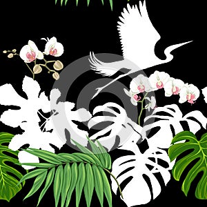 Seamless pattern, background. with tropical plants and flowers with white orchid flowers and tropical birds.n