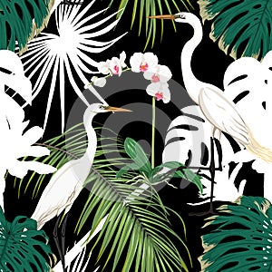 Seamless pattern, background. with tropical plants and flowers with white orchid flowers and tropical birds.n