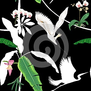 Seamless pattern, background. with tropical plants and flowers with white orchid flowers and tropical birds.n