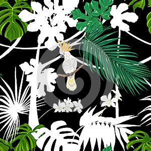 Seamless pattern, background. with tropical plants and flowers with white orchid flowers and tropical birds.n