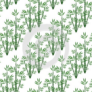 Seamless pattern Bamboo for a background