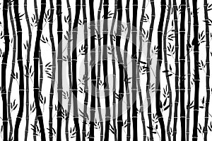Seamless pattern with bamboo silhouette on white background. Black and white background with bamboo stalks and leaves. Vector