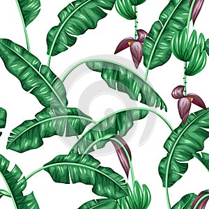 Seamless pattern with banana leaves. Decorative image of tropical foliage, flowers and fruits. Background made without