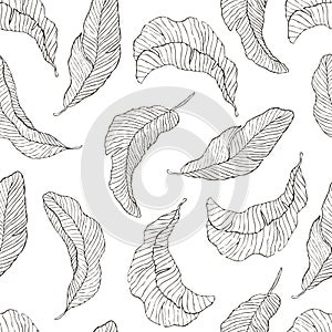 Seamless Pattern. Banana Leaves white Background.