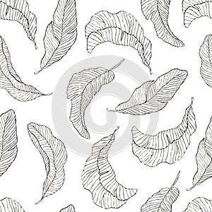 Seamless Pattern. Banana Leaves white Background. photo