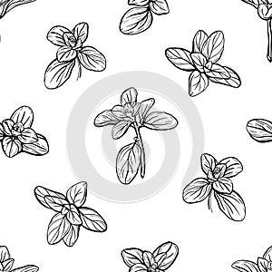 seamless pattern of basil leaves