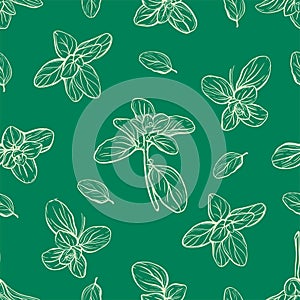 seamless pattern of basil leaves