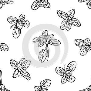 seamless pattern of basil leaves