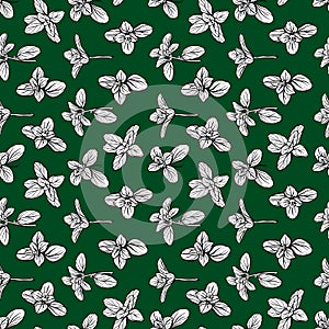 seamless pattern of basil leaves