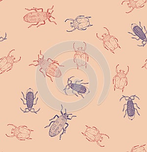 Seamless pattern with beatles on the pink background