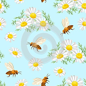 Seamless pattern with beautiful daisies and honey bees on blue background. Vector illustration of nature