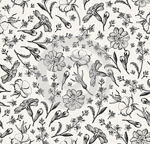 Seamless pattern Realistic isolated flowers Vintage background agrostemma primrose Croton wildflowers Drawing engraving Vector photo