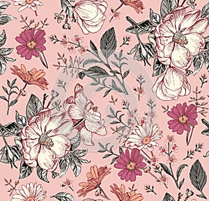 Seamless pattern flowers Vintage background chamomile rosehip dogrose wildflowers Wallpaper Drawing engraving Vector Illustration