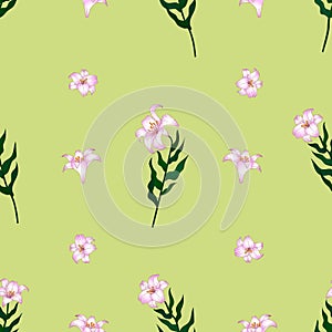 Seamless pattern with beautiful lilies