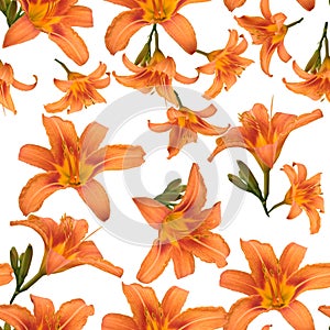 Seamless pattern of beautiful orange lilies on a white background