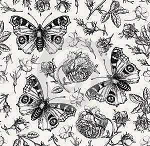 Seamless pattern peacock butterfly Realistic isolated flowers Vintage background Rose Wallpaper Drawing engraving agrostemma photo